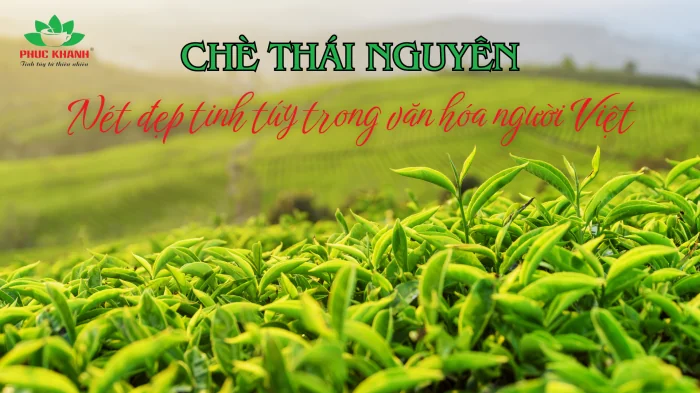 Chè Thái Nguyên – Nét đẹp tinh túy trong văn hóa người Việt Nam