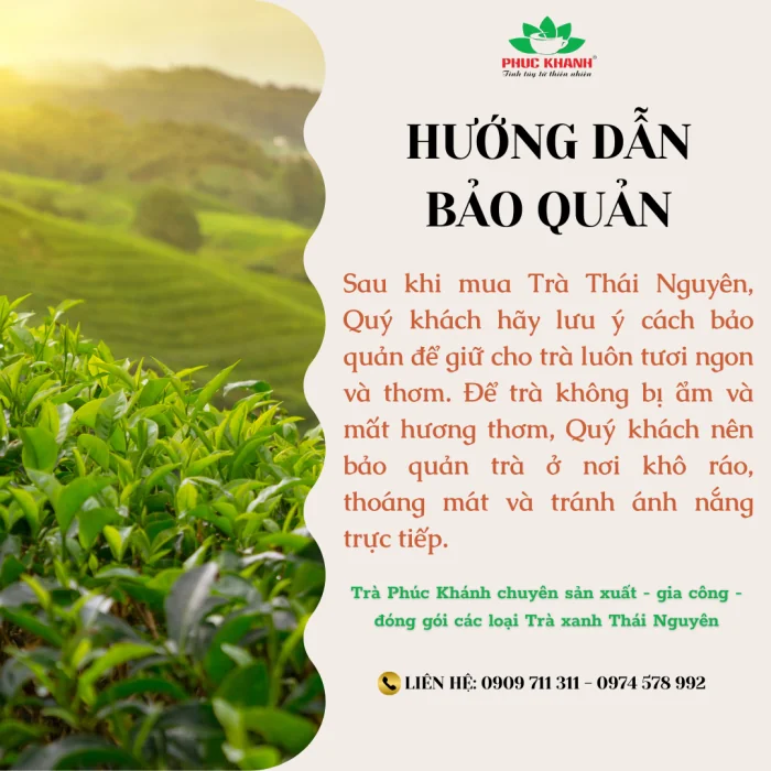 HƯỚNG DẪN BẢO QUẢN TRÀ ĐÚNG CÁCH