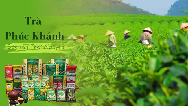 Trà Thái Nguyên - Tinh tuý của trà Việt
